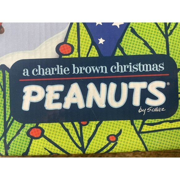 A Charlie Brown Peanuts Christmas Skating Pond Music & Motion 2007 Snoopy Used - Picture 14 of 16